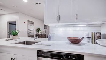 Granite or quartz countertops